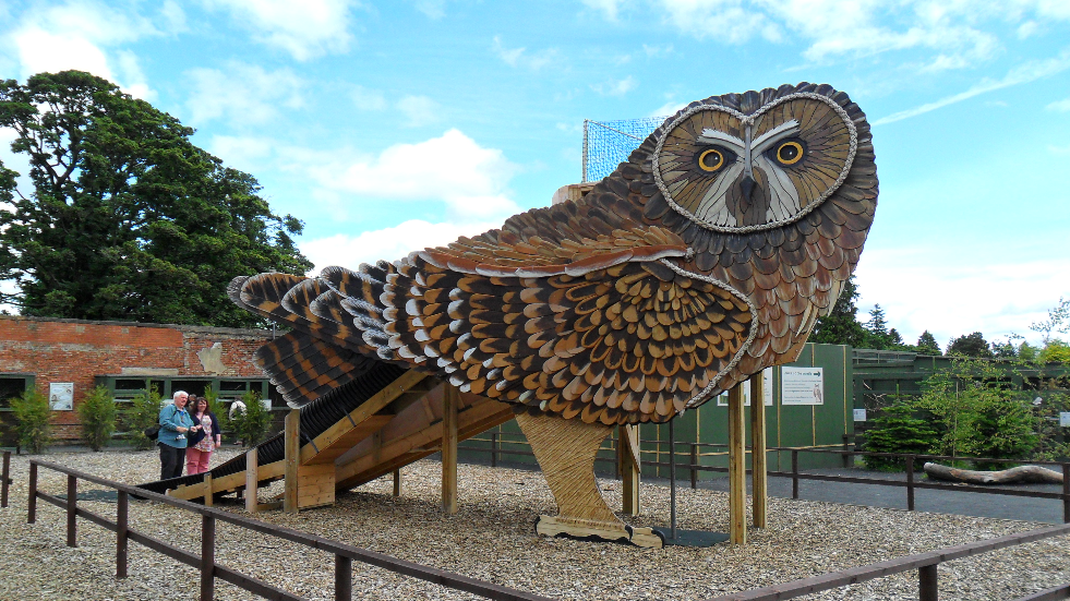 Edinburgh Slide Scottish Owl Centre